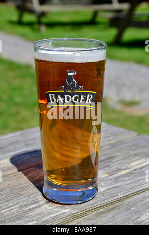 La pinta di birra Badger Foto Stock