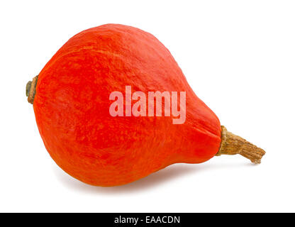 Red kuri squash isolati su sfondo bianco Foto Stock