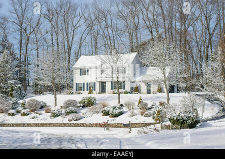 Snow [coperta di neve] albero [ramo di albero] home casa Foto Stock