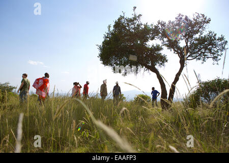 I keniani imparare il metodo di top-bar l'apicoltura. Albero della Vita apicoltura insegna questo metodo di apicoltura in tutta l Africa orientale Foto Stock