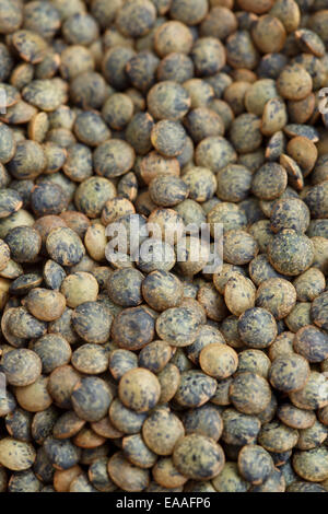 Lenticchie verdi biologiche Foto Stock