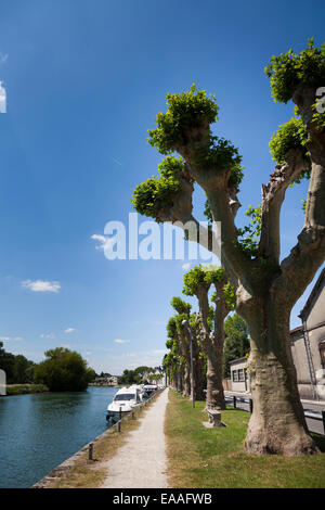 Il fiume Charente a Jarnac con la strada alzaia e alberi pollarded dal Quai de l'orangerie Foto Stock