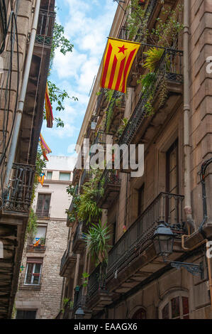 Il catalano bandiere nel quartiere Gotico di Barcellona e della Catalogna, Spagna Foto Stock