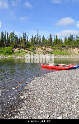 Catamarano turistico sul fiume del Nord. Fiume Lemva, Repubblica di Komi, polare Urali, Russia. Foto Stock