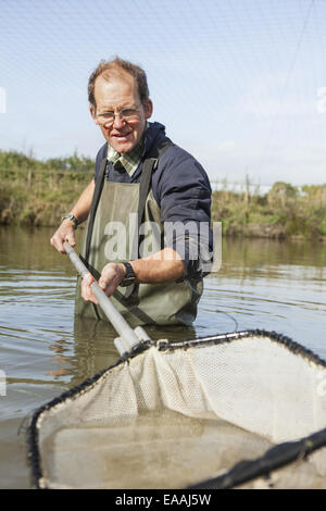 Un uomo pesca carpa, in piedi fino alla sua vita in acqua con una grande rete. Foto Stock