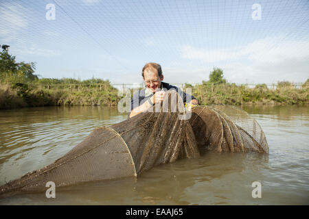 Un uomo in piedi in vita l'acqua alta, con un lungo net, pesca carpa. Foto Stock