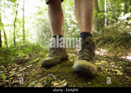 Close up di un uomo in piedi in scarpe da trekking su un sentiero di bosco in estate. Foto Stock