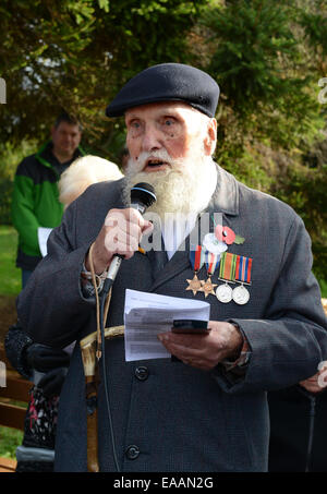 La Seconda Guerra Mondiale il veterano George Evans di età compresa tra i 91 indossando papavero rosso e bianco di papavero di pace a Wellington ricordo servizio. Foto Stock