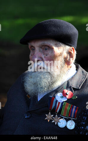 La Seconda Guerra Mondiale il veterano George Evans di età compresa tra i 91 indossando papavero rosso e bianco di papavero di pace a Wellington il ricordo del servizio una sfilata Foto Stock