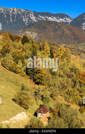 Paesaggio di campagna in un rumeno villlage presso il cibo di Piatra Craiului Mountains. Foto Stock