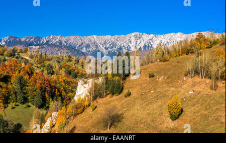 Paesaggio di campagna in un rumeno villlage presso il cibo di Piatra Craiului Mountains. Foto Stock