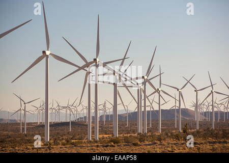 Parte del Tehachapi Pass wind farm, il primo grande scala wind farm area sviluppata negli Stati Uniti, California, Stati Uniti d'America. Foto Stock