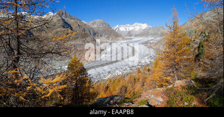 Ghiacciaio di Aletsch, Svizzera Foto Stock