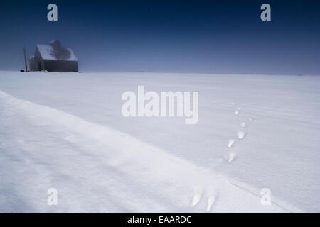 Luna illumina una nebbia scena invernale su western Iowa. Foto Stock