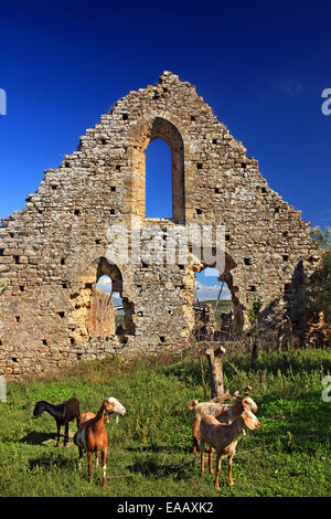 Il monastero di franchi di Isova, a Trypiti village (Andritsaina-Krestena comune), Ileia, Peloponneso e Grecia. Foto Stock