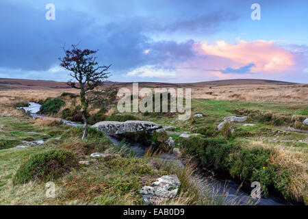 Un piccolo granito battaglio ponte sul torrente Gallaven a Scorhill sul Parco Nazionale di Dartmoor in Devon Foto Stock