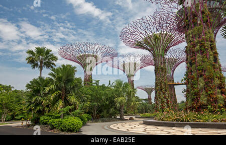 Immenso supertrees, giardini verticali, per salire al cielo blu al di sopra di palme e altre piante in Singapore i vasti giardini dalla baia Foto Stock