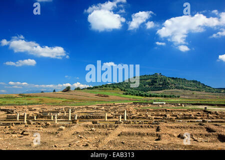 Le rovine della città antica - stato di Elis ("Ilida'), città ospite dei Giochi Olimpici antichi, Ileia, Peloponneso e Grecia. Foto Stock