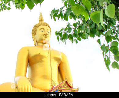 Il Golden seduto immagine del Buddha e foglie di Pipal su sfondo bianco. Foto Stock