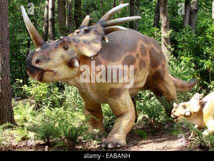 Styracosaurus (spiked lucertola) dinosauro con giovani, Cretaceo era dino realistiche statue Dinopark Zoo di Amersfoort, Paesi Bassi Foto Stock