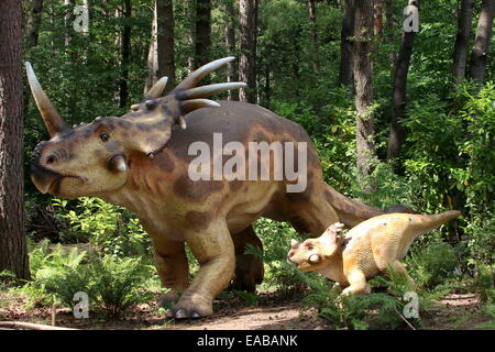 Styracosaurus (spiked lucertola) dinosauro con giovani, Cretaceo era dino realistiche statue Dinopark Zoo di Amersfoort, Paesi Bassi Foto Stock