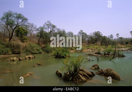 Il fiume Gambia, Niokolo Koba Parco Nazionale, Senegal Africa occidentale Foto Stock