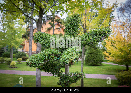 "Honka' club house di Mezhyhirya ex residenza privata di un ex presidente Viktor Yanukovych in Novi Petrivtsi, Ucraina Foto Stock