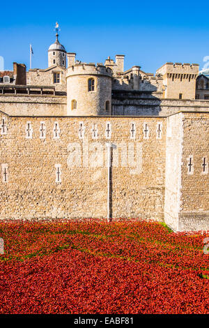 Il sangue spazzata di terre e mari di rosso alla Torre di Londra Foto Stock