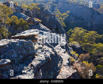 Vista di bushland e aspre gole di arenaria nel Parco Nazionale Blue Mountains, NSW, Australia Foto Stock