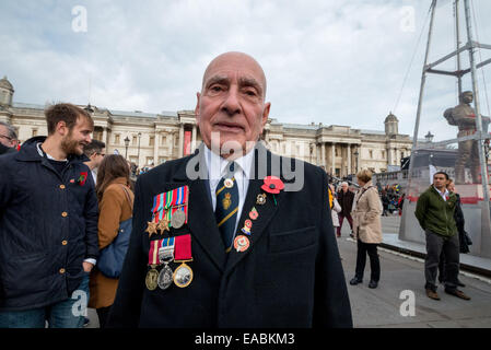 Brian Coombs servita 25 anni nell'esercito britannico. Egli è venuto a Trafalgar Square per rendere omaggio ai suoi compagni caduti, Londra, Regno Unito. Foto Stock