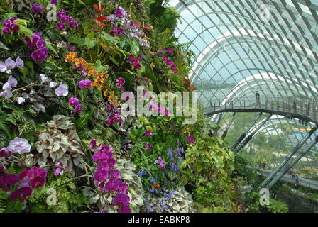 The Cloud Forest, Gardens by the Bay, Singapore Foto Stock