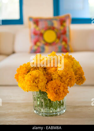 Un vaso di Le calendule in America Latina l'impostazione interna Foto Stock