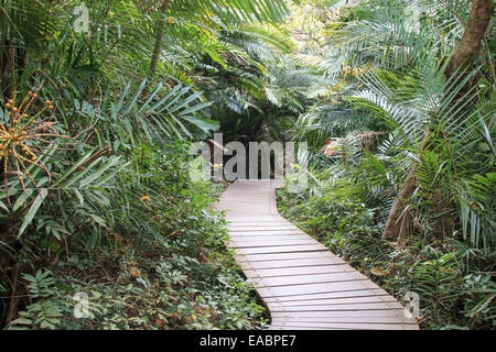 Shoushan, Monkey mountain in Kaohsiung city, Taiwan Foto Stock