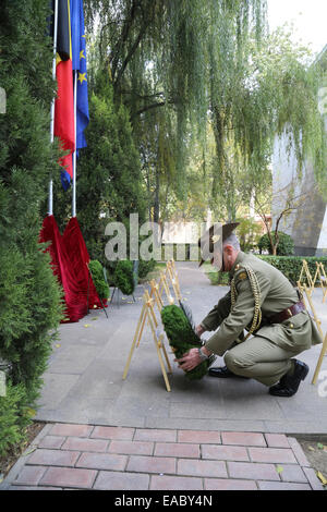 Pechino, Cina. 11 Novembre, 2014. Un ufficiale militare dall ambasciata australiana per la Cina stabilisce una corona durante una cerimonia per commemorare la fine della Prima Guerra Mondiale in ambasciata Belga a Pechino, capitale della Cina, nov. 11, 2014. Ogni anno il Nov11, ambasciate dei paesi impegnati nella guerra a turno per tenere la commemorazione per rendere omaggio ai soldati uccisi durante la guerra scoppiata nel luglio del 28,1914 e si è conclusa il 9 novembre11,1918. Credito: Xinhua/Alamy Live News Foto Stock