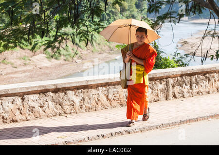 I monaci buddisti con ombrelloni a piedi attraverso Luang Prabang, Laos, Asia sud-orientale, Asia Foto Stock