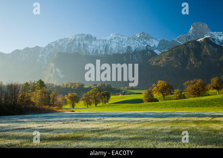 Frosty autunno mattina su un prato alpino in Svizzera Foto Stock