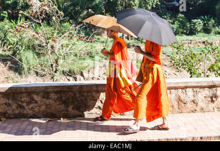 I monaci buddisti con ombrelloni a piedi attraverso Luang Prabang, Laos, Asia sud-orientale, Asia Foto Stock