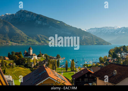 La città di Spiez e il Lago di Thun, Svizzera Foto Stock