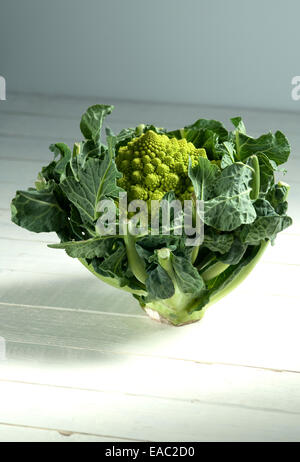 Chiudere l immagine delle rosette di cavolfiore Romanesco Foto Stock