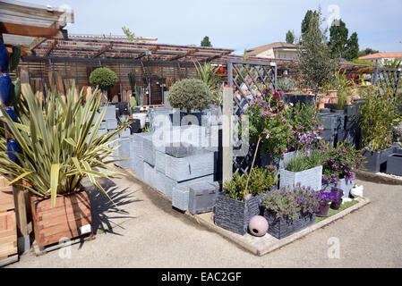 Elegante colore grigio o grigio piantatrici o vasi per piante con display di piante succulente e lavanda per la vendita nel Centro giardino Foto Stock