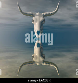 Visualizzazione digitale del cranio Foto Stock