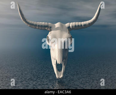 Visualizzazione digitale del cranio Foto Stock