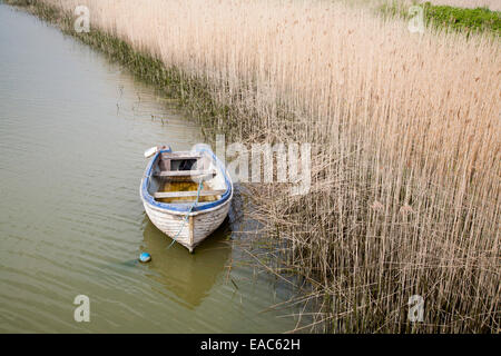 Piccola barca ormeggiata accanto a canne sul fiume Alde a Snape, Suffolk, Inghilterra Foto Stock