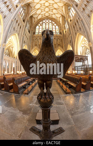 Il legno intagliato eagle ambone della Cattedrale di Wells nel Somerset Foto Stock