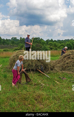 Essiccazione del fieno, trasporto e haystacks per mucche e cavalli nel villaggio. Foto Stock