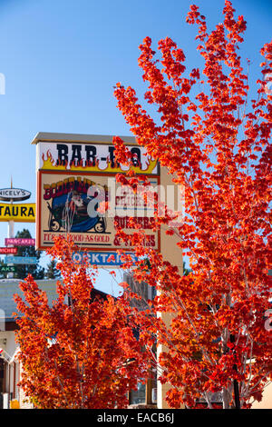 I colori dell'autunno in Lee Vining, Mono Lake in California, Stati Uniti d'America. Foto Stock