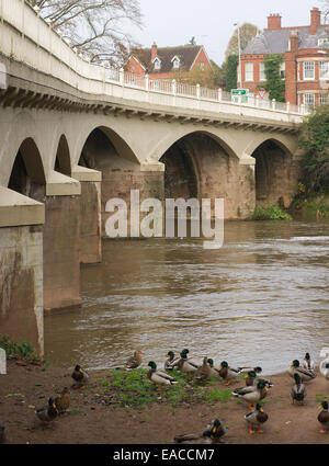 Tenbury Wells ponte che attraversa il fiume teme. Foto Stock