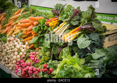 Organici di bietole, carote, barbabietole e altri ortaggi sono visti presso la Union Square Greenmarket a New York Foto Stock