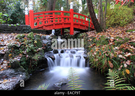 Giardini Clyne stream e ponte giapponese a Swansea Foto Stock