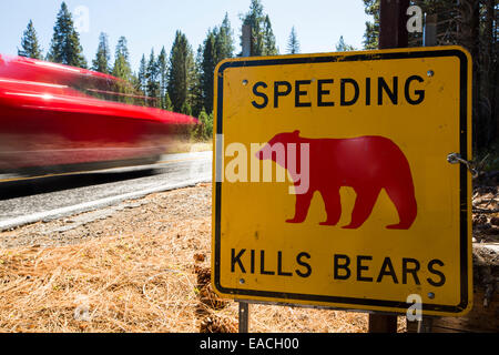 Un giallo Spped uccide porta segno nel Parco Nazionale di Yosemite, ogni segno segna un punto in cui un orso è stato ucciso da traffico, California, USA. Foto Stock